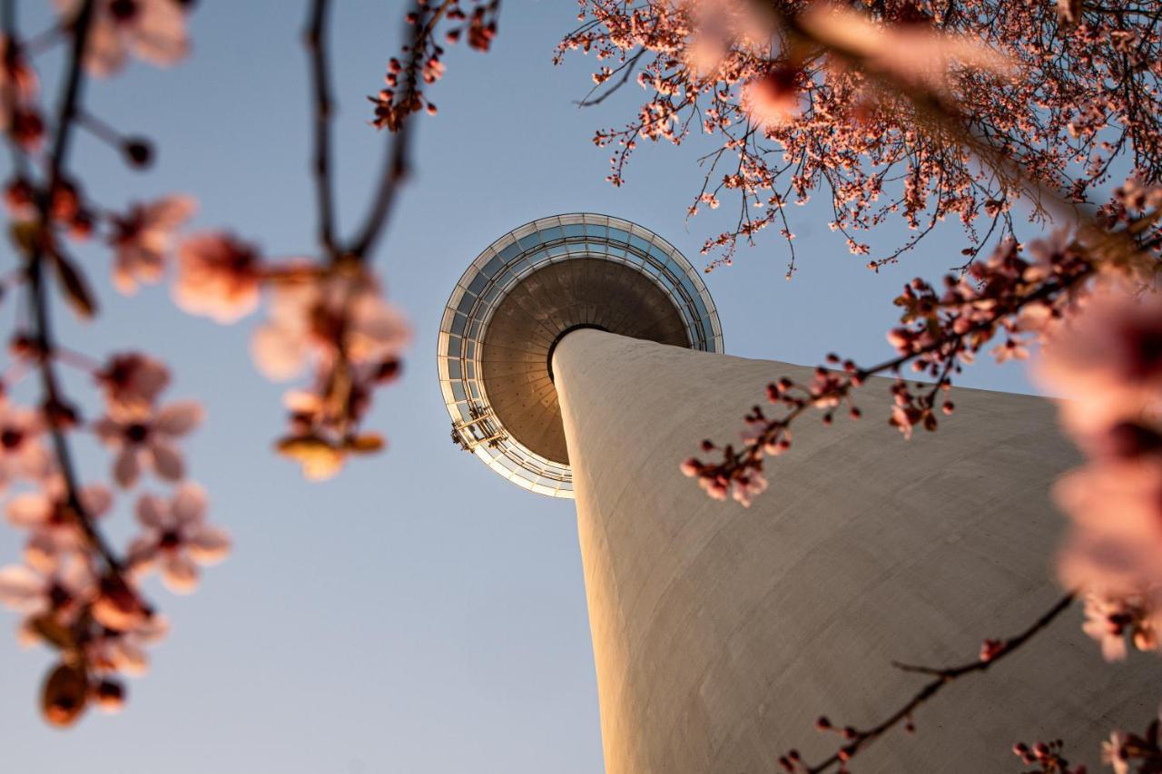 Hostel マンハイム エクステリア 写真 The top of the tower